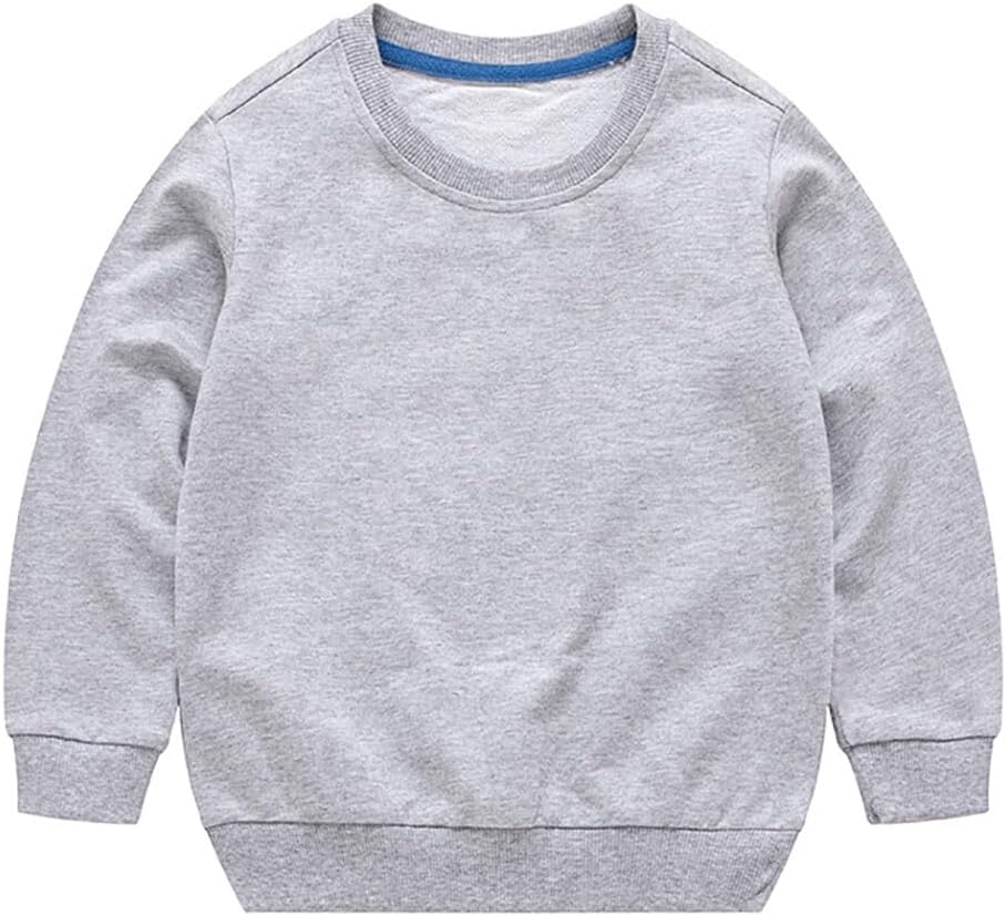 Toddler Kids Baby Boy Girl Long Sleeve Sweatshirt Casual Shirt Thin Pullover Infant Crewneck Sport Tops